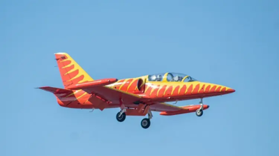 Albatros L39C Photo